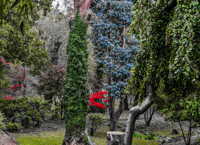 Trent Park Japanese Gardens 2