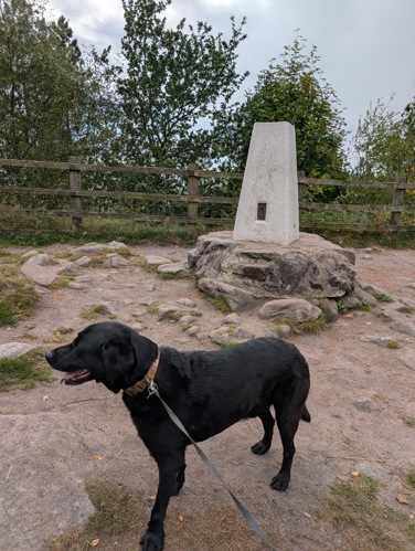 Bolehill trig point